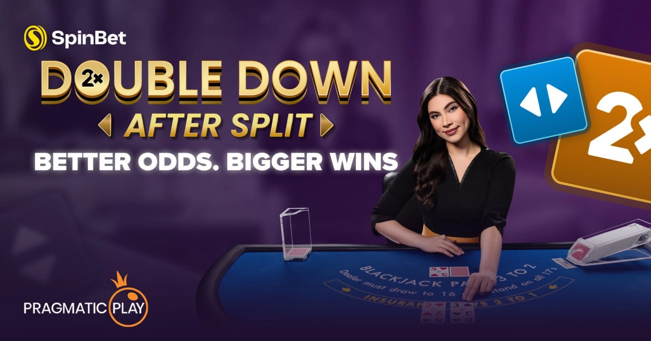 Spinbet providers
